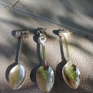 Memphis, Elysburg, Chuck wagon race Spoon set.